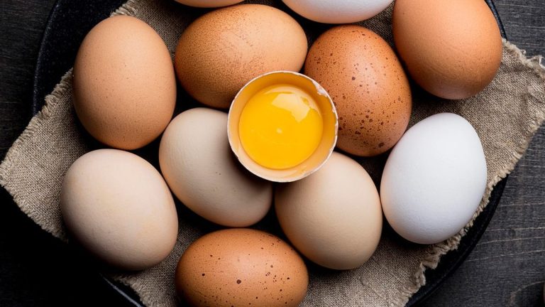 IGAE desmente rumores de ovos de borracha no mercado