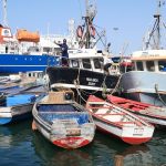 pesca
