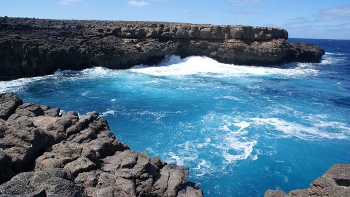 piscine-naturelle