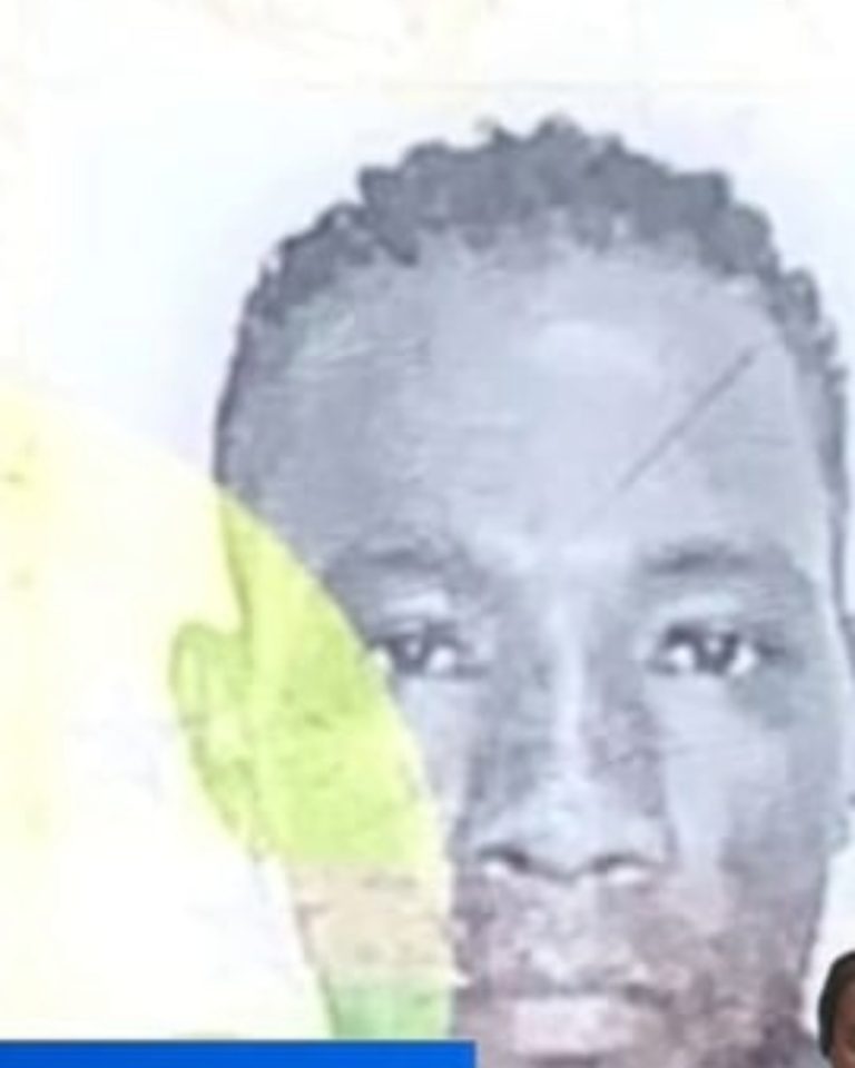 Homem encontrado morto debaixo de ponte no Paul terá falecido por causas naturais
