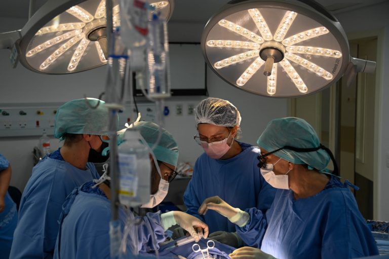 Cabo Verde prepara-se para realizar primeiro transplante renal no País