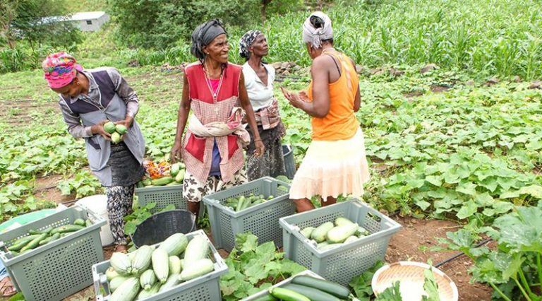 Cabo Verde lidera Índice Mulheres, Empresas e a Lei 2024 entre PALOP