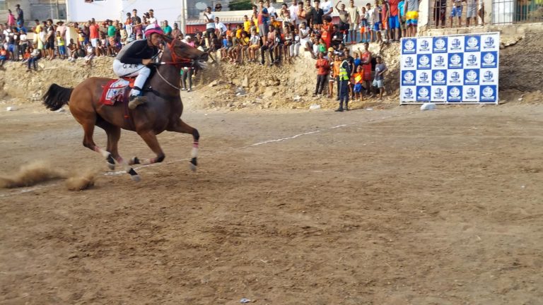 Corrida de Cavalos celebra Dia de São Vicente
